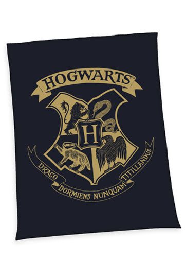 Harry Potter Fleecedecke Hogwarts 150 x 200 cm 